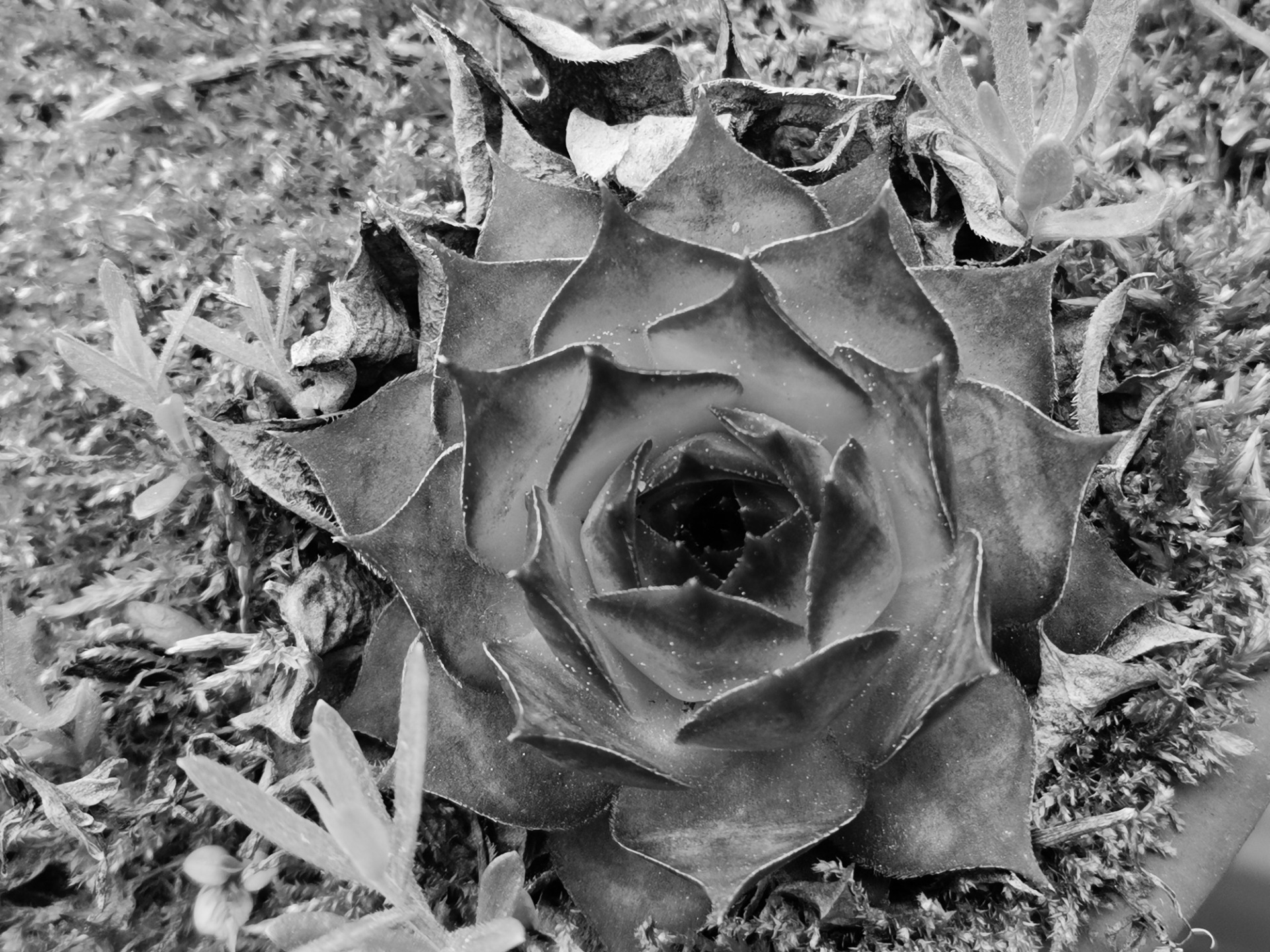 Beziehungswissen & Hintergründe | Paarcoaching Alexandra Neuhofer