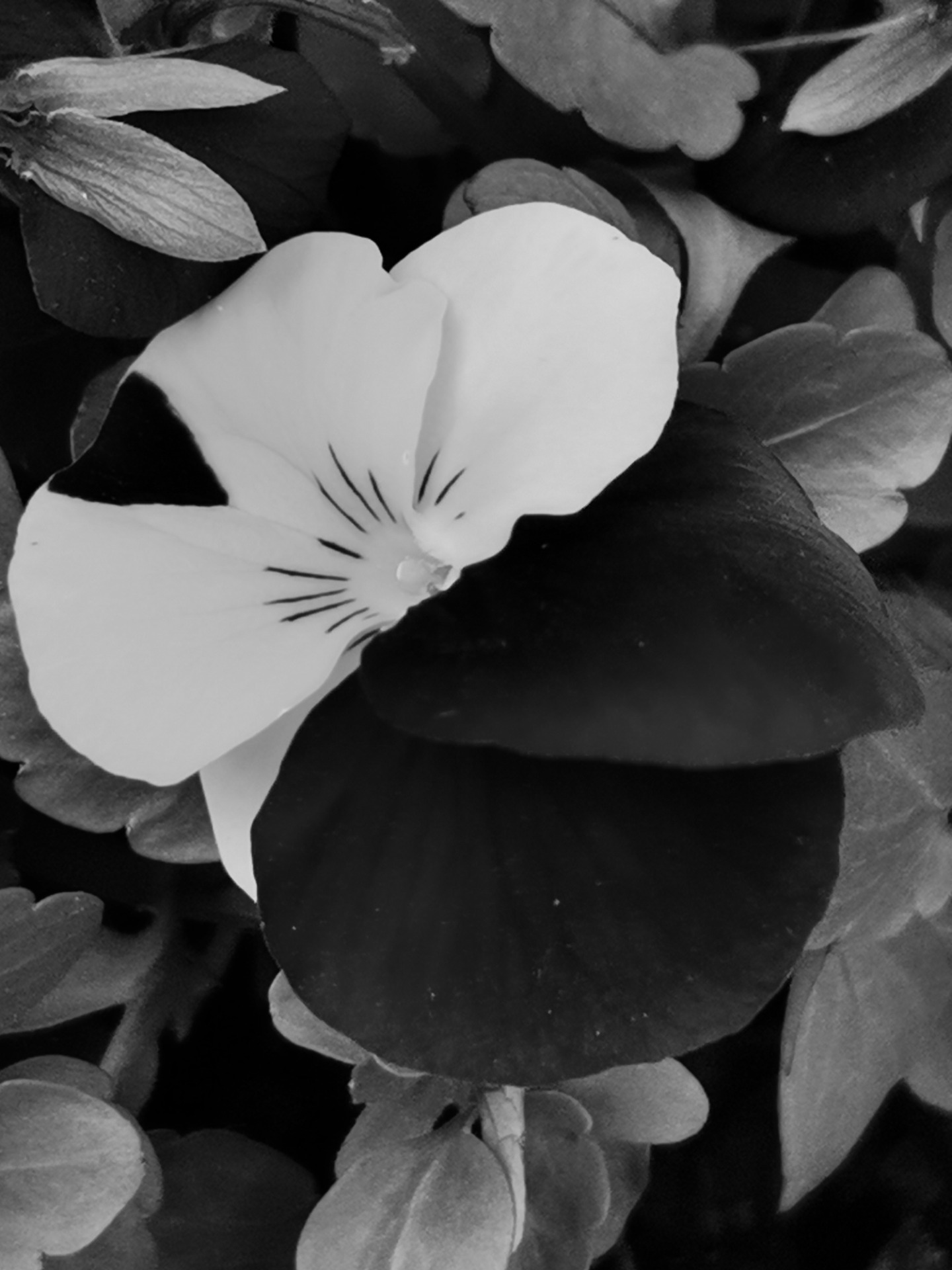 Beziehungsburnout – wenn die Liebe erschöpft ist